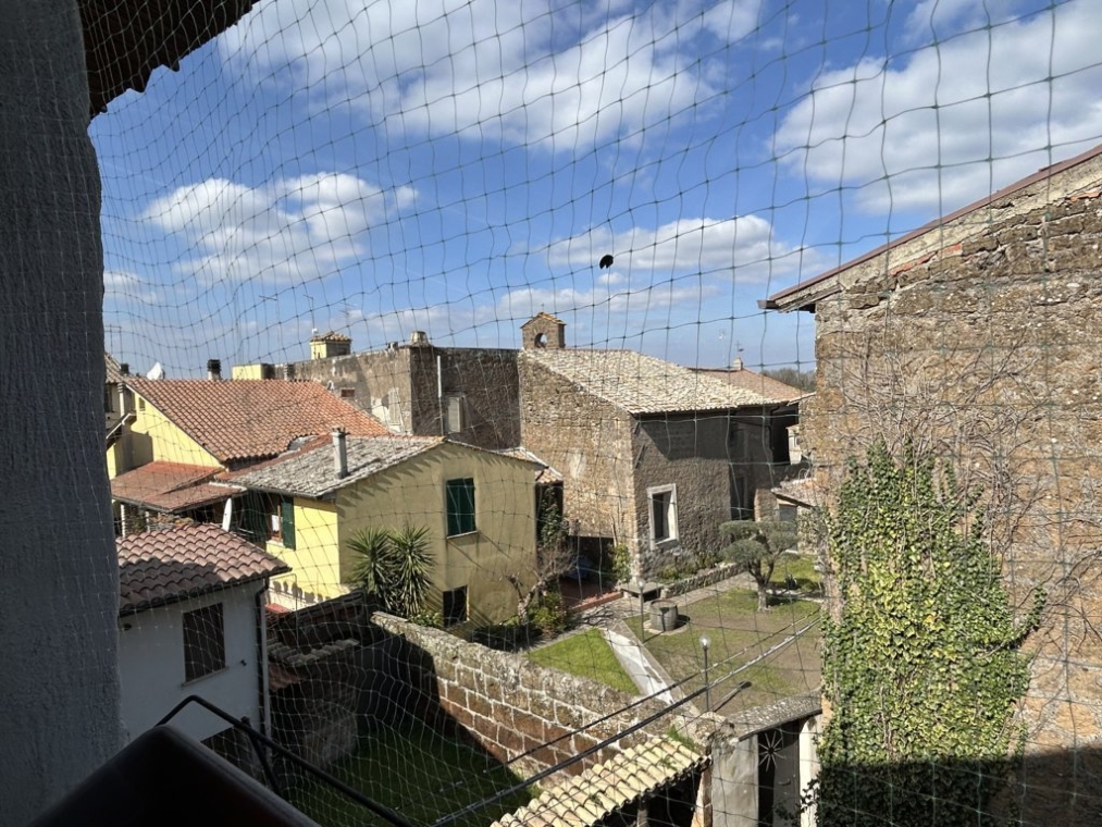 IMG_4181 (FILEminimizer).jpeg